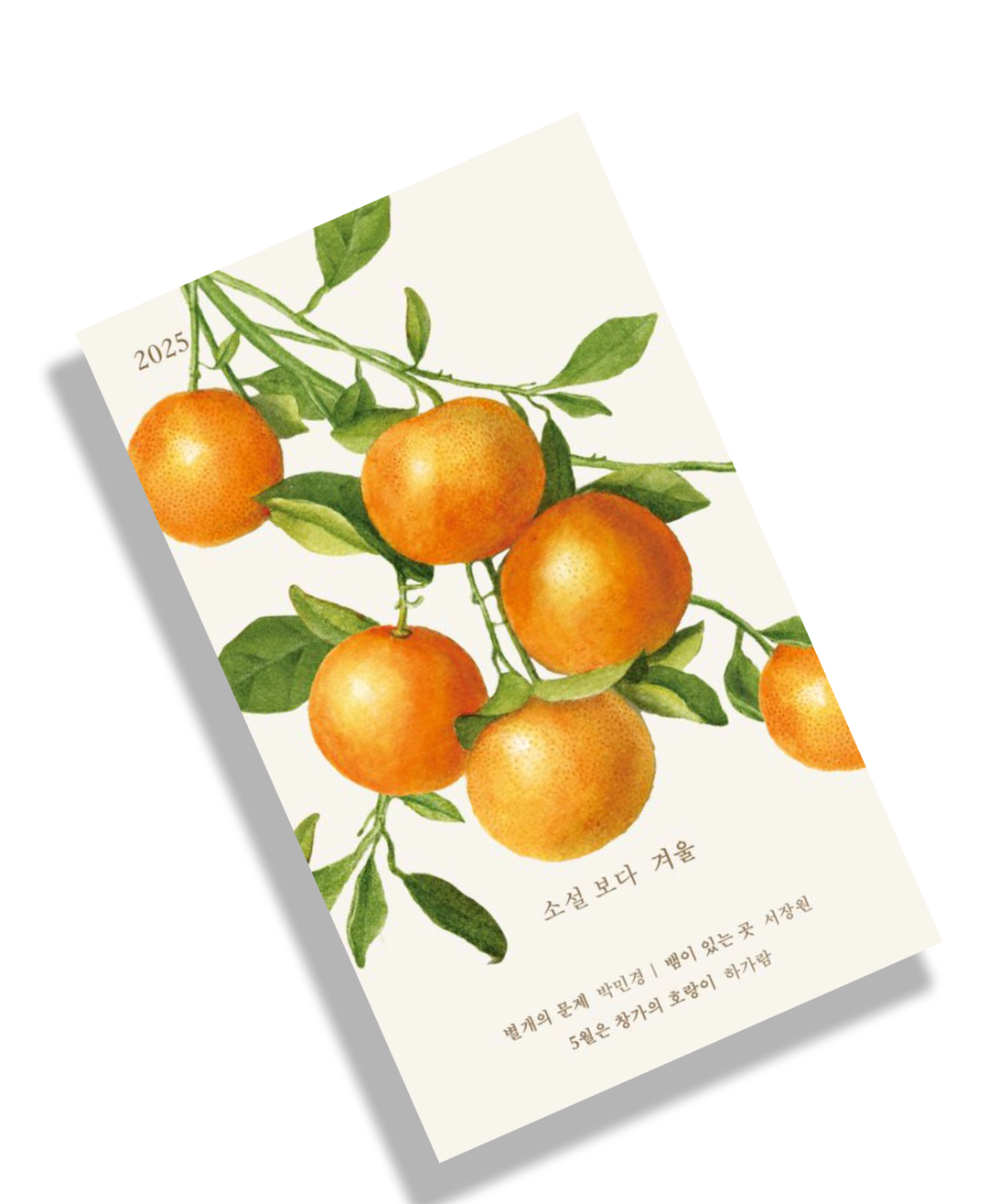 띠배너 북이미지